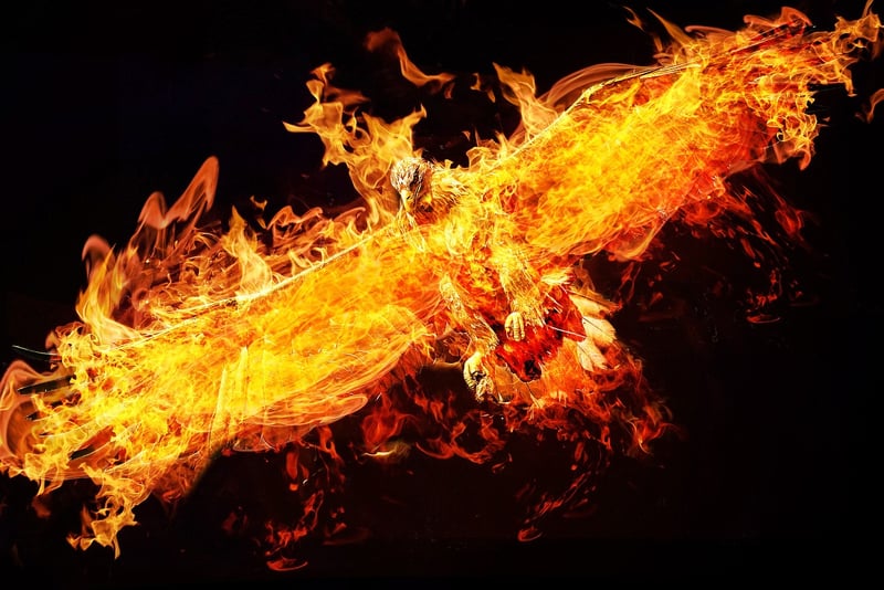 Phoenix Fire Show